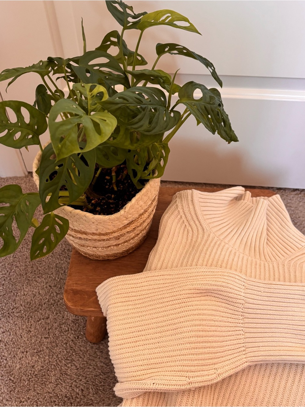 Everlane Cream Ribbed Mockneck Cotton Sweater